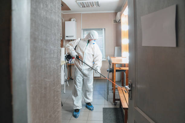 Reliable Palm Harbor, FL Mold Removal Solutions