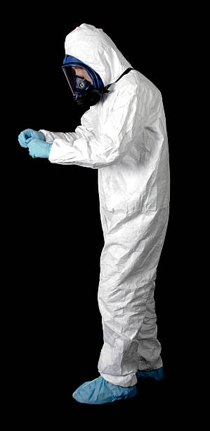Best HVAC Mold Inspection and Cleaning  in Palm Harbor, FL