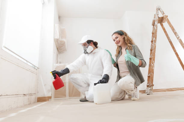 Best Emergency Mold Remediation  in Palm Harbor, FL